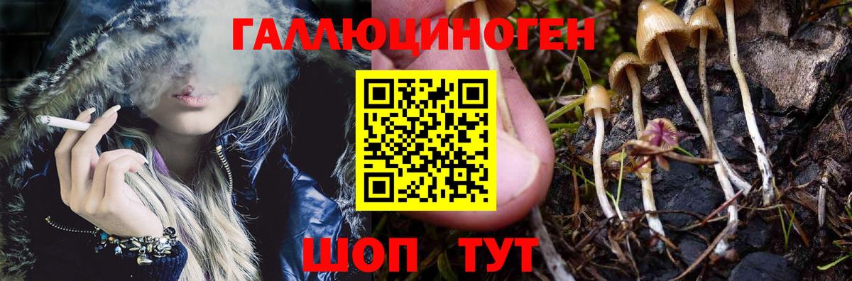 Галлюциногенные грибы мухоморы  Галлюциногенные грибы ЛСД  Реутов  Вход с VPN 